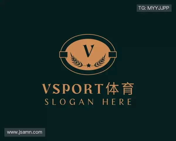 介绍VSport